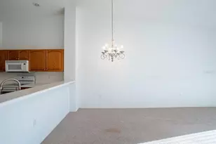 1000 Canopy Walk Ln, Palm Coast, FL 32137 - Photo 33