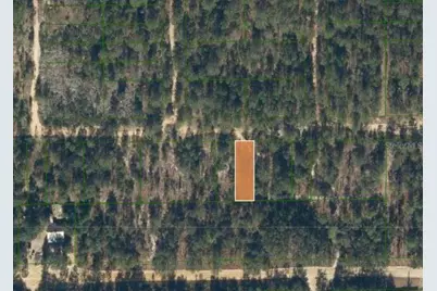 0 Unassigned Road, Interlachen, FL 32148 - Photo 1