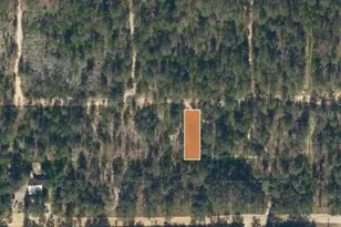 0 Unassigned Rd, Interlachen, FL 32148 - Photo 1