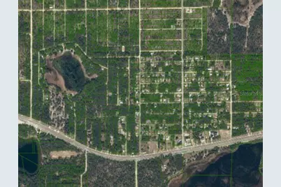 0 Unassigned Road, Interlachen, FL 32148 - Photo 9