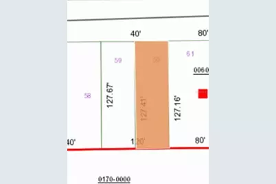 0 Unassigned Road, Interlachen, FL 32148 - Photo 3
