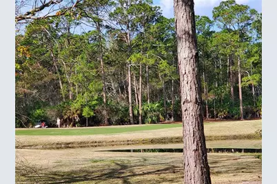 2 Blue Oak Lane, Palm Coast, FL 32137 - Photo 15