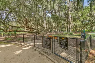 215 Willow Oak Way, Palm Coast, FL 32137 - Photo 49