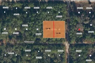 336 Gardenia Ave, Georgetown, FL 32139 - Photo 1