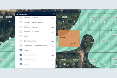 336 Gardenia Avenue, Georgetown, FL 32139 - Photo 5