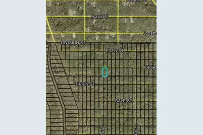 Fagan, Hastings, FL 32145 - Photo 1