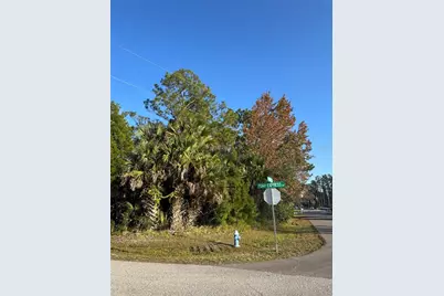 30 Pony Express Drive, Palm Coast, FL 32164 - Photo 11
