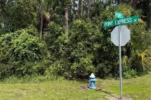 30 Pony Express Dr, Palm Coast, FL 32164 - Photo 1