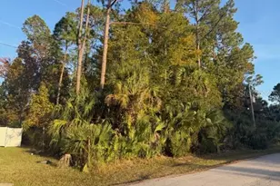 9 Pinelark Ln, Palm Coast, FL 32164 - Photo 1