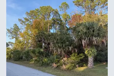 11 Pinelark Lane, Palm Coast, FL 32164 - Photo 1