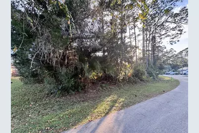 80 Raemoor Drive, Palm Coast, FL 32164 - Photo 3