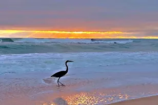 1133 Ocean Shore Blvd, Ormond Beach, FL 32176 - Photo 43