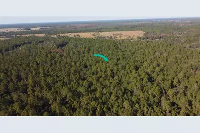 4619 State Hwy 100 W, Bunnell, FL 32110 - Photo 3