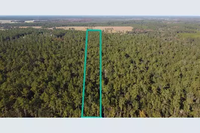 4619 State Hwy 100 W, Bunnell, FL 32110 - Photo 5