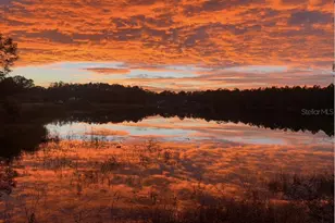 928 Gallberry Ct, Bunnell, FL 32110 - Photo 55