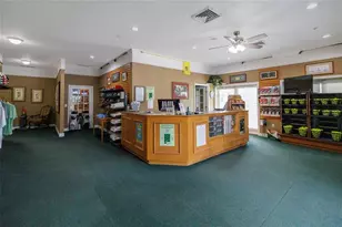 3158 Connemara Dr, Ormond Beach, FL 32174 - Photo 47