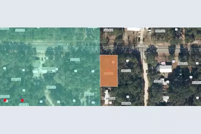 113 Chestnut Street, Interlachen, FL 32148 - Photo 3