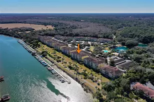 700 Canopy Walk Ln, Palm Coast, FL 32137 - Photo 57