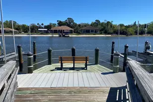 700 Canopy Walk Ln, Palm Coast, FL 32137 - Photo 49