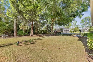 85 Bird of Paradise Dr, Palm Coast, FL 32137 - Photo 41