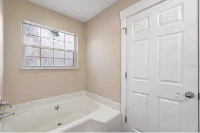 314 Citrus Open Drive, New Smyrna Beach, FL 32168 - Photo 33