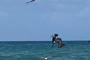 12 Moody Dr, Palm Coast, FL 32137 - Photo 49