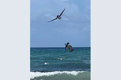 12 Moody Drive, Palm Coast, FL 32137 - Photo 35