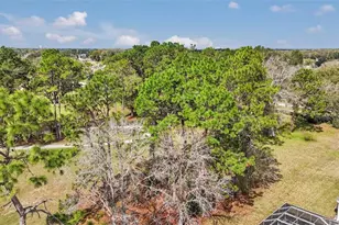 11741 SW 72nd Cir, Ocala, FL 34476 - Photo 7