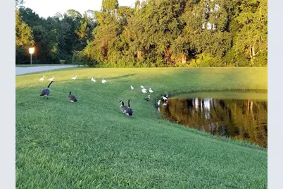 237 N Hidden Tree Drive, Saint Augustine, FL 32086 - Photo 37