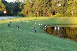 237 N Hidden Tree Dr, Saint Augustine, FL 32086 - Photo 37