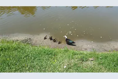 237 N Hidden Tree Drive, Saint Augustine, FL 32086 - Photo 43