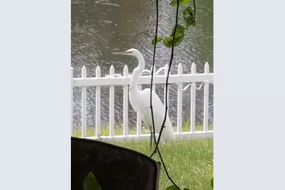 237 N Hidden Tree Drive, Saint Augustine, FL 32086 - Photo 49