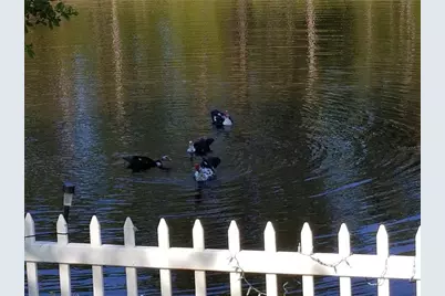 237 N Hidden Tree Drive, Saint Augustine, FL 32086 - Photo 41