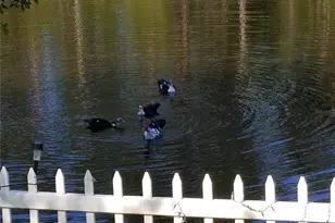 237 N Hidden Tree Dr, Saint Augustine, FL 32086 - Photo 41