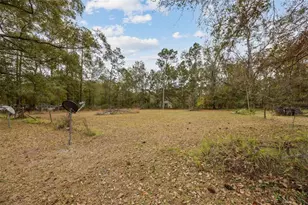 5255 Peggy Ln, Middleburg, FL 32068 - Photo 37