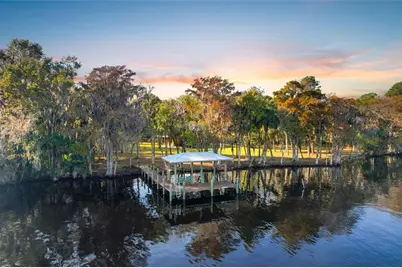122 Drayton Island Road, Georgetown, FL 32139 - Photo 47