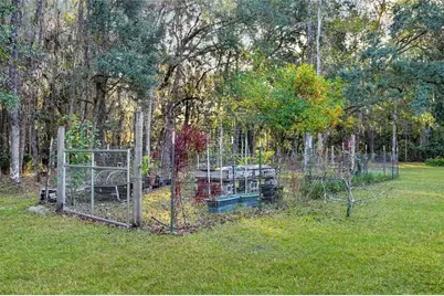 122 Drayton Island Road, Georgetown, FL 32139 - Photo 45