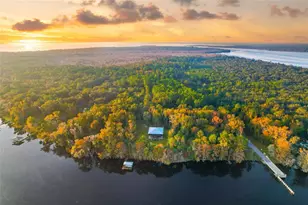 122 Drayton Island Rd, Georgetown, FL 32139 - Photo 57