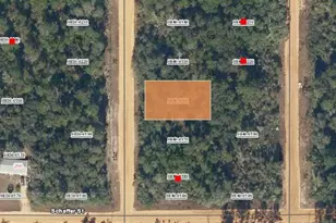 00 Creager Ave, Interlachen, FL 32148 - Photo 1