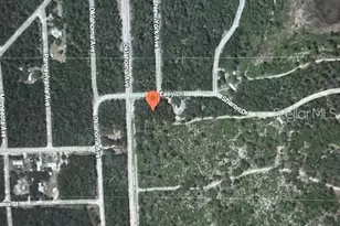 105 Easy Ln, Satsuma, FL 32189 - Photo 1