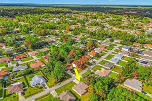 15 Pineland Ln, Palm Coast, FL 32164 - Photo 61