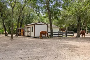 5011 John Anderson Hwy, Flagler Beach, FL 32136 - Photo 47