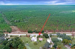 11455 SE Hwy 464C, Ocklawaha, FL 32179 - Photo 9