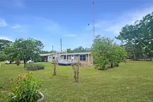 11455 SE Hwy 464C, Ocklawaha, FL 32179 - Photo 47