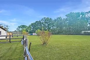 11455 SE Hwy 464C, Ocklawaha, FL 32179 - Photo 49