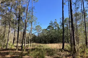 10050 Ebert Ave, Hastings, FL 32145 - Photo 1