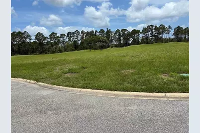 406 Bourganville Drive, Palm Coast, FL 32137 - Photo 3