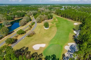 4377 Castle Oak Ct, Orange Park, FL 32065 - Photo 75