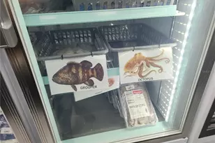 212 St Joe Plaza Dr, Palm Coast, FL 32164 - Photo 25