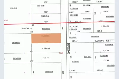 303 Milton Avenue, Interlachen, FL 32148 - Photo 5